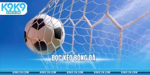 Đọc kèo bóng đá